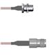 Amphenol Custom Cable Q-1T04G0005012i