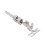 Aptiv (formerly Delphi) 10756353 Enlarged Image