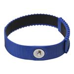 SCS 4620 Enlarged Image