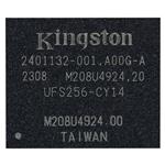 Kingston UFS256-CY14-02N01 Enlarged Image