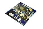 GOWIN LittleBee® GW1N-4 FPGAs