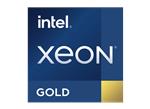 Intel Xeon® Gold Processors (3rd Gen)
