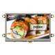 Newhaven Display NHD-4.3-480272FT-CSXP-T