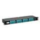 Panduit F1RBXN-6408-10S